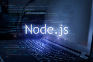 Node Js Developer